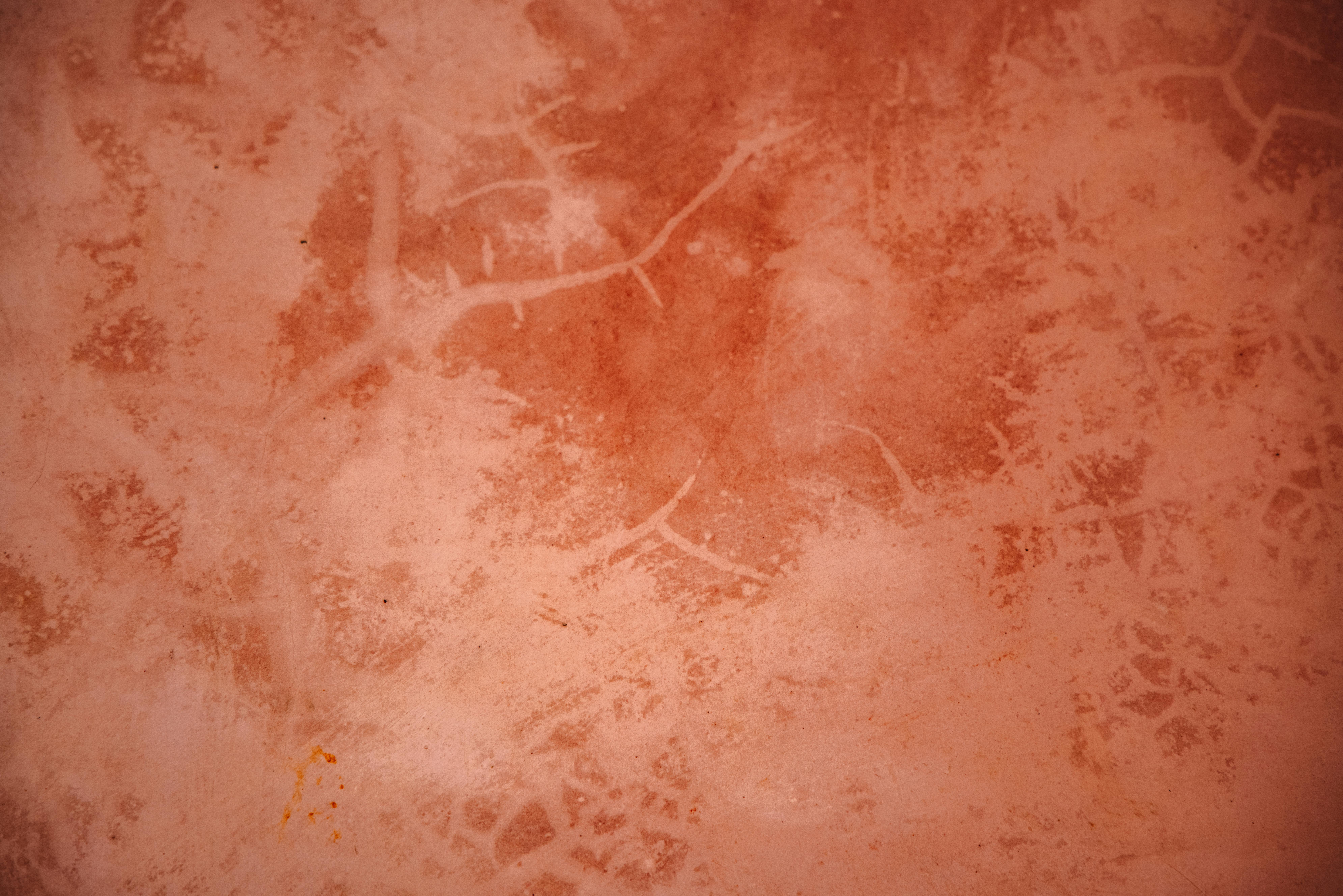 Privacy-Focused Check-Ins for Corporate Gatherings